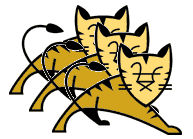 Run Multiple Instance of Apache Tomcat in Single Server
