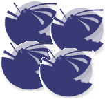 How to: Setup Multiple Virtual Hosts in WAMP Server