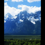 How To Pick Image From Gallery in Android App